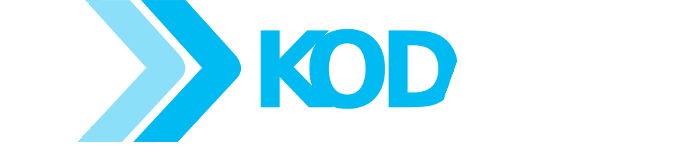 Kodafriq Data Management Solutions